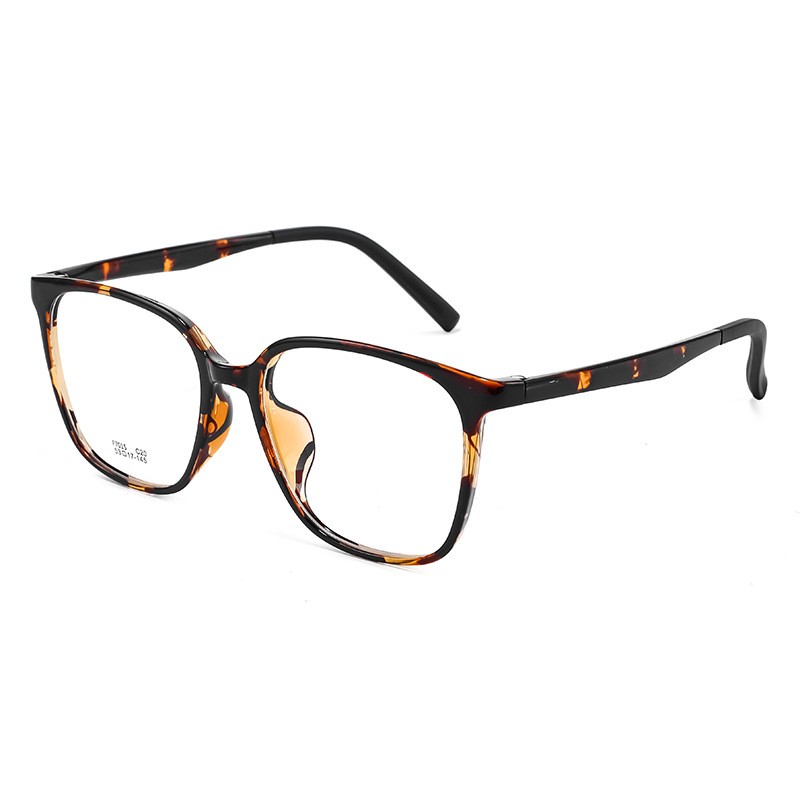 TR90 Classic Frame